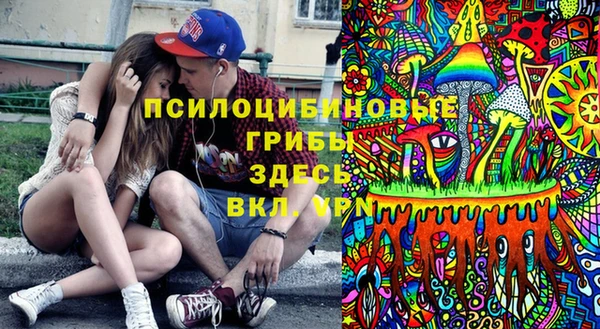 молекула духа Аркадак
