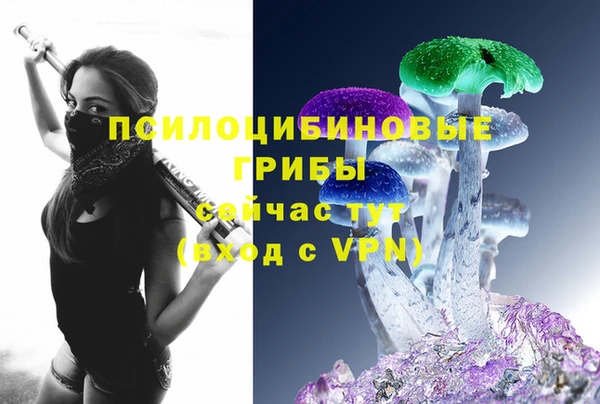 молекула духа Аркадак
